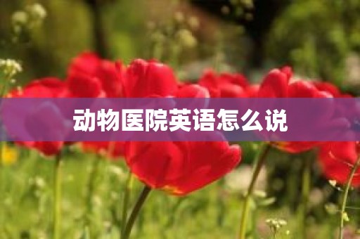 动物医院英语怎么说