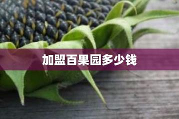 加盟百果园多少钱